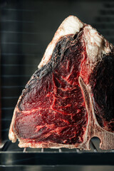 Raw dry aged T-bone steak as a premium beef cut
Dry aged porterhouse steak presented as high...