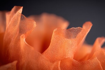 A serene setting highlights the natural beauty and texture of delicate orange petals illuminated by soft light in a close-up view