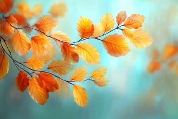 A blurred background of lights and colorful leaves on branches combine to produce a tranquil autumn setting in the great outdoors