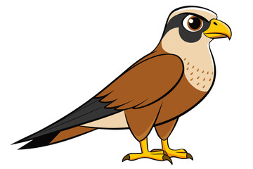 Falcon bird cartoon art vector illustration