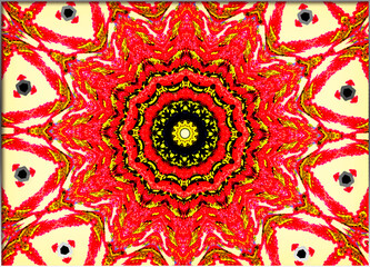 A vivid kaleidoscope of red, yellow, and black unfolds in bright, symmetrical patterns, pulling the eye toward its intricate center.