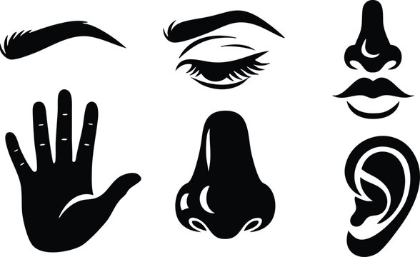 Human senses icons vector set eye hand nose mouth and ear illustrations simple design