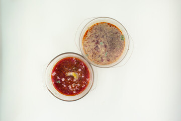 A top-down image of borscht completely spoiled by mold, with thick fungal layers and visible green colonies on the surface.