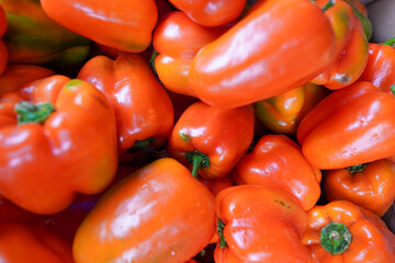 Colorful fresh orange bell peppers piled together at a market stall during the daytime