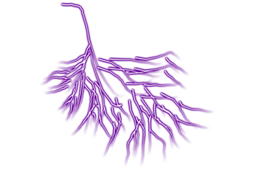 Abstract glowing purple branching network against a dark background