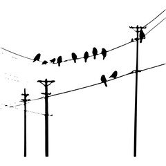 Silhouette of birds perched on power lines against white background