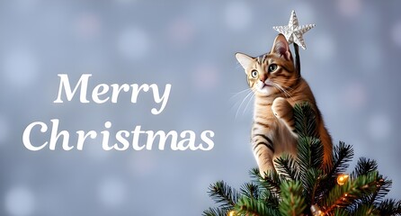 Merry Christmas message with a cat climbing a christmas tree in background