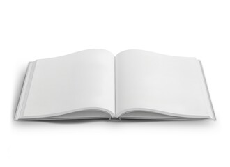 Brand Guideline Identity Mockup Design Professional Display