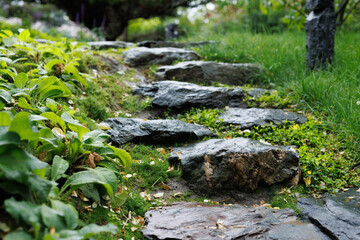 close-up of stone steps in the forest. Beautiful natural background.