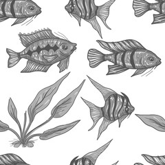 Aquarium fish plants hand-drawn set pet supplies for pet stores underwater rocks aquarium decorations soil amphora and castle