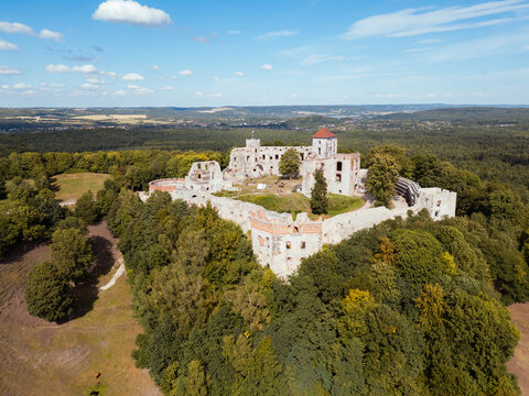 Fototapeta Zamek Tenczyn w Rudnie