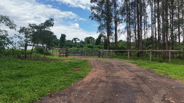 A rustic gate leading to a nature trail on a sunny day