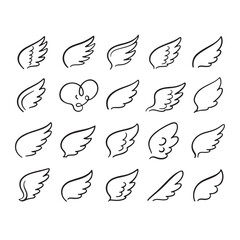 black and white wings vector design 