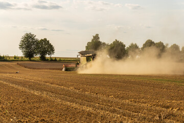 Fototapeta premium Harvesting wheat in a rural field with dust clouds rising at sunset