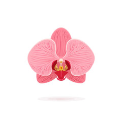flower,Simple_flat_2D_icon_orchid_flower_isolated_white background, simple illustration with EPS format design, 2D flat icon, minimalist design