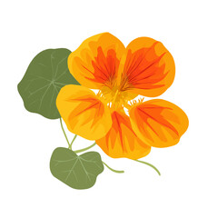 Obraz premium A_Simple_flat_2D_icon_nasturtium_flower_isolated_on_a_white background, simple illustration with EPS format, 2D icon, minimalist