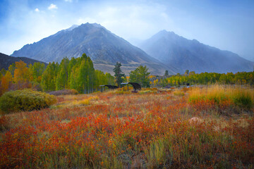 Autumn in the Mountains, Eastern Sierra, California, USA