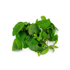 Fresh mint leaves