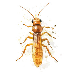 Simple Hand-painted watercolor style, vectorized, painting style, vector set available in EPS,
Watercolor_style_painting_of_a_termite_on_a_white_