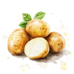 Beautiful vegetables painting design set
Hand-painted style, vectorized, vector set available in EPS, Simple Hand-painted watercolor style, potato slices