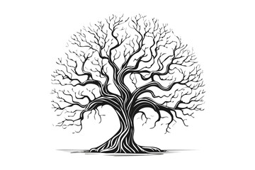 Majestic Bare Tree Silhouette Intricate Branches Winter Nature Landscape