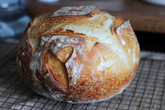 fresh baked bread - Powered by Adobe