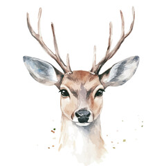 Naklejka premium Beautiful deer head painting design set, Hand-painted style, vectorized, vector set available in EPS, Simple Hand-painted watercolor style