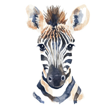 Beautiful zebra head painting design set Hand-painted style, vectorized, vector set available in EPS, Simple Hand-painted watercolor style