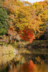 秋の色に染まる湖のほとり