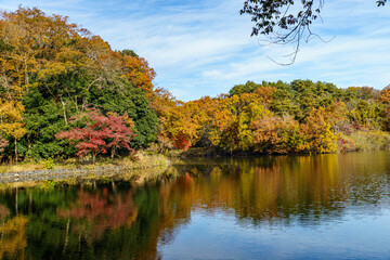 紅葉に染まる秋の空と湖