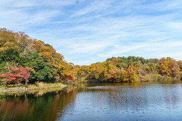 紅葉に染まる秋の空と湖