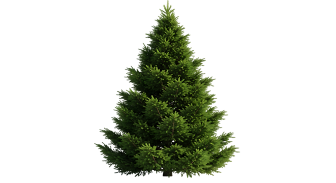 Isolated image of a single green fir tree against a black background background transparent - Powered by Adobe