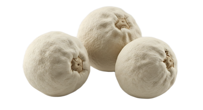 A studio shot showcasing three white puffball mushrooms clustered together on a black background plain setting