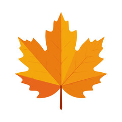 Attractive Minimalist illustration, A clipart flat 2D icon, minimal design, simple illustration with EPS format design of autumn maple leaf isolated on white and transparent background