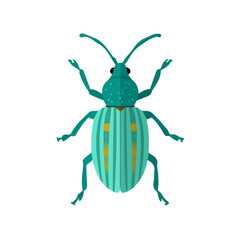 Attractive Minimalist illustration, A clipart flat 2D icon, simple illustration with EPS format design of a weevil isolated on white and transparent background