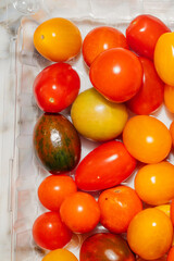 multicolor small cherry tomatoes