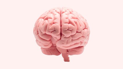 3D Human Brain Anatomy Realistic Rendering with Cerebral Cortex and Cerebellum on Black Background - 1