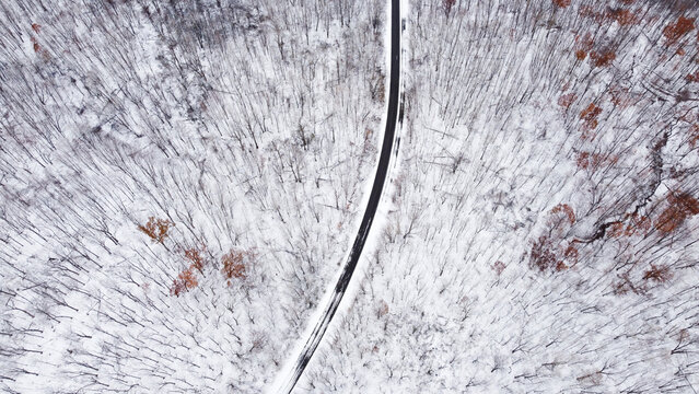 View of small forest road in winter