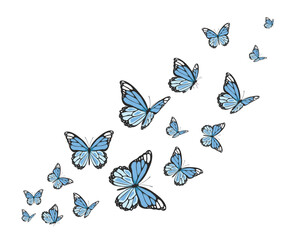 blue flock of watercolor hand drawn design vector 