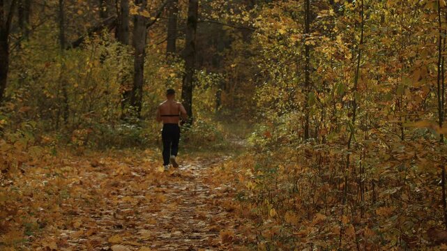 Muscular young man wearing heart rate monitor on his chest jogs in an autumn forest. Back view. Stunning landscape features yellow leaves swirling in air