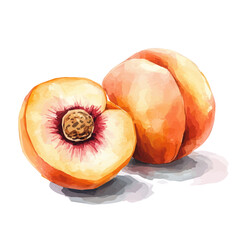 whole and halved peach painting design set Hand-painted style, vectorized, vector set available in EPS, Simple Hand-painted watercolor style