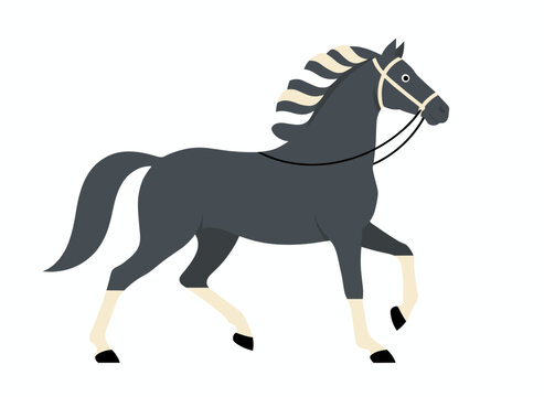 Illustration of a flat vector Marwari horse, a robust and attractive Indian equine, representing horse breeding and equestrian sport concepts, featuring a Malani breed steed isolated on a white