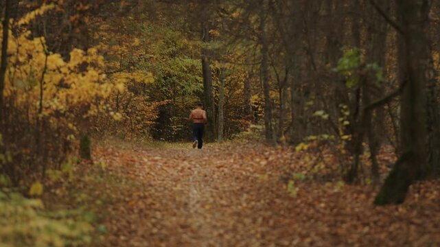 Young muscular shirtless man exercises in an autumn forest and runs along path among trees with chest heart rate monitor. Back view. Sport and healthy lifestyle concept