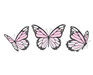 watercolor hand drawn design vector 