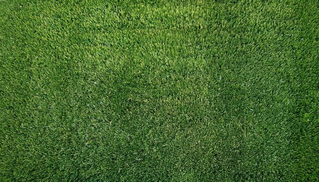 Artificial Grass Field Top View Texture