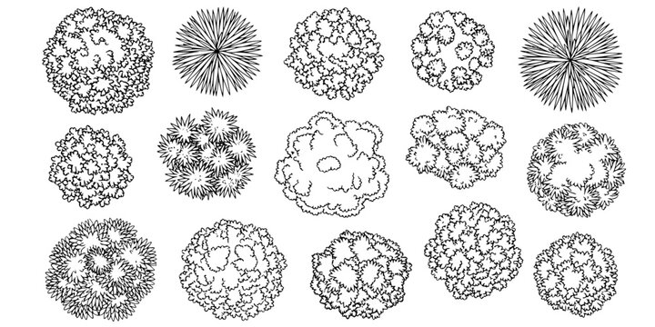Top view tree canopy illustration set, diverse foliage textures, landscape greenery clipart, natural plant design, eco nature vegetation, outdoor environment vector 