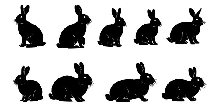 Rabbit silhouette collection, sitting poses, bunny illustration set, animal posture study, black silhouette art, wildlife design, rabbit breed reference, pet artwork