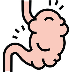 Smiling Pink Stomach Anatomy Illustration with Connected Intestines Digestive System Organ Medical Icon with Transparent Background
