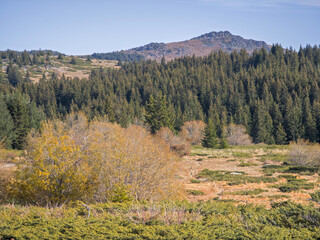 Konyarnika area at Vitosha Mountain, Bulgaria