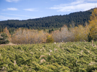 Konyarnika area at Vitosha Mountain, Bulgaria